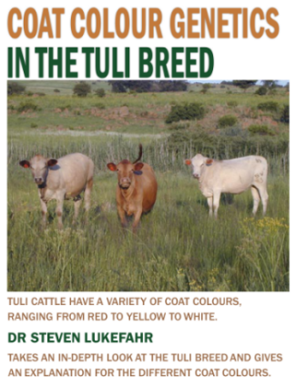 Tuli-colours-article-by-Dr-Lukefahr-cover