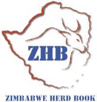 ZHB logo